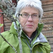 Birgitta Berggren