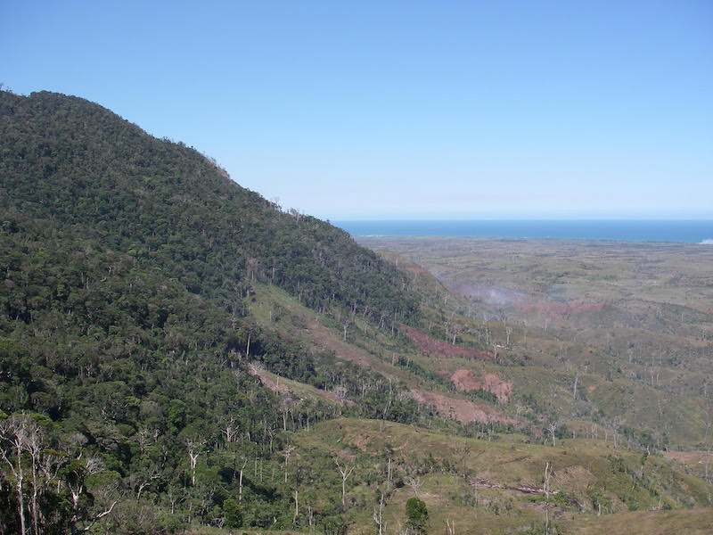 Figur 4. Bemangidy forest på sydöstra Madagaskar med regnskogsklädda sluttningar men där bränderna härjar och efterlämnar döda trädstammar i ett antropogent gräslandskap. Foto: Laurent Gautier (11 december 2012).