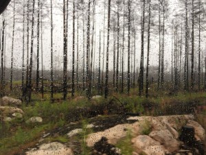 02Halleskogsbrannan