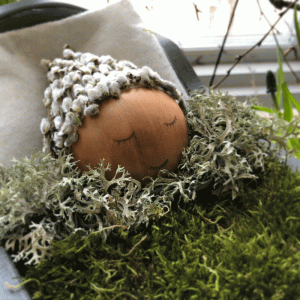Otålig vår i Orangeriet 2019